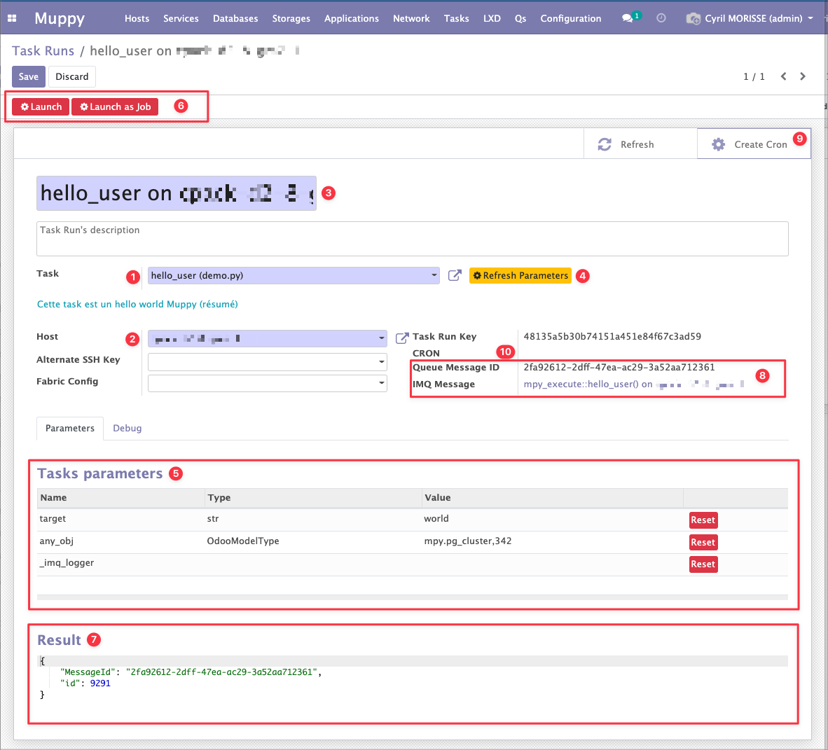 Task Run form view